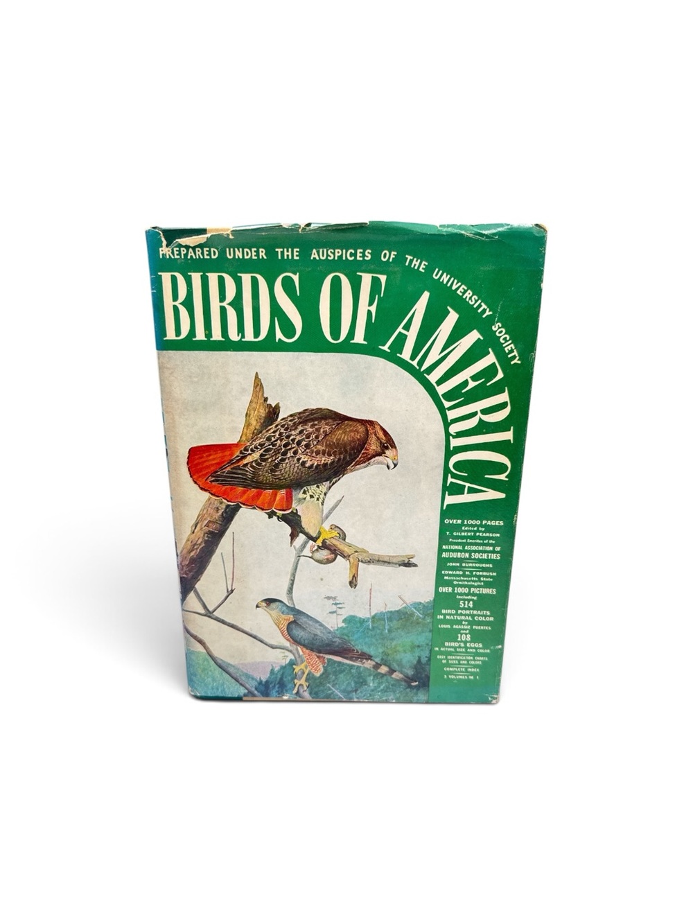 Vintage 1936 Birds of America Doubleday Illustrated Hardcover Bird Book